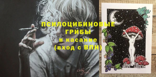 гидра Володарск