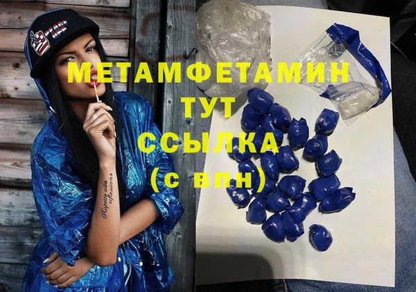 гидра Володарск