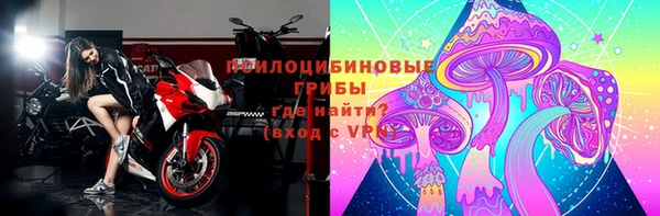 гидра Володарск