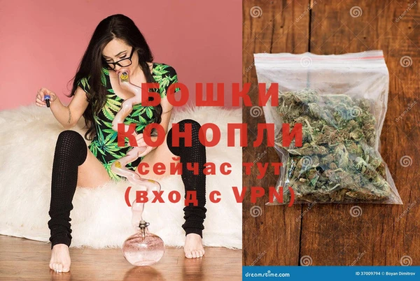 гидра Володарск